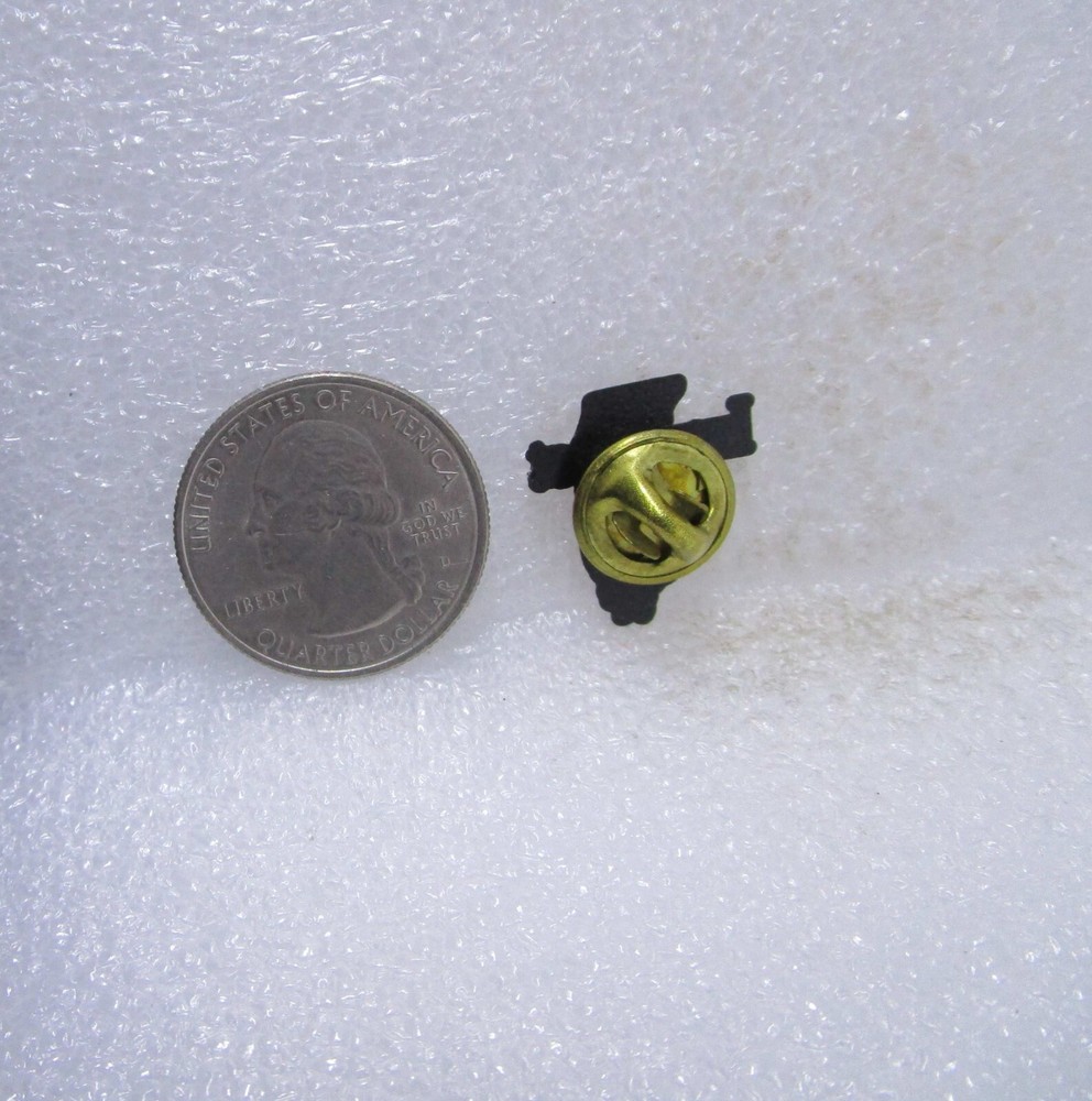 Lockport Illinois Plastic Pin