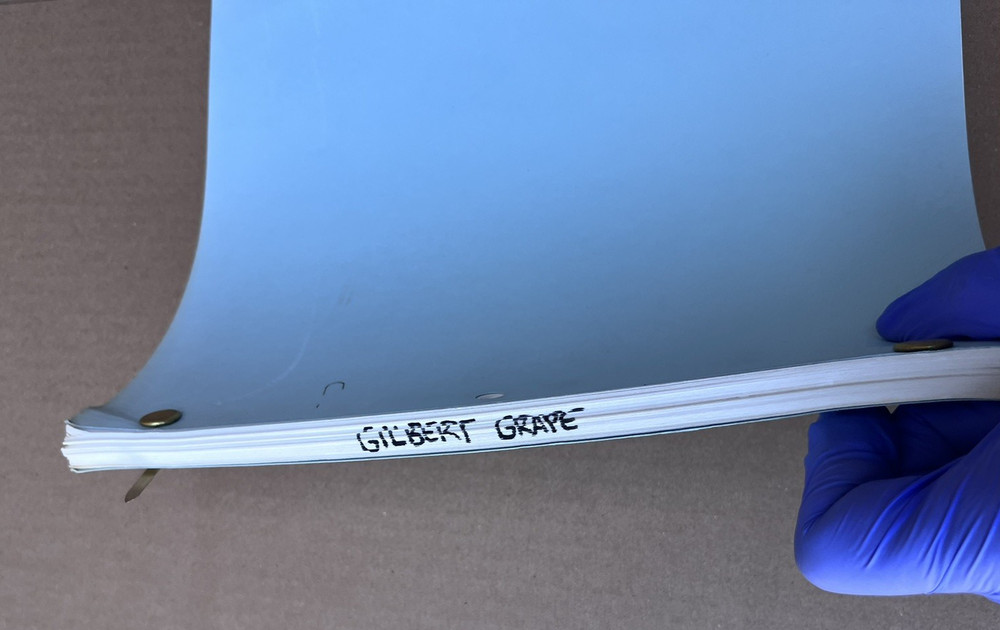 1992 What's Eating Gilbert Grape Original Movie Script Revised 2nd Draft Rare