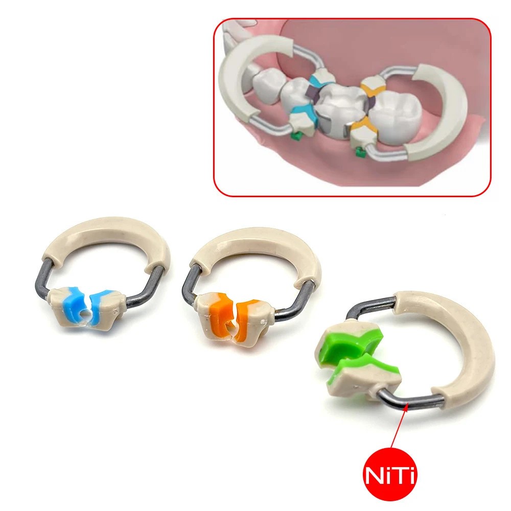 Dental Sectional Matrix System Matrices Clip Ring Matrix Bands Dentistry Tools