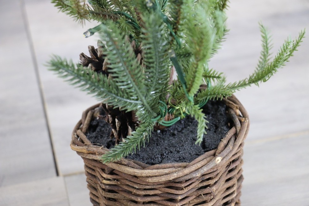 Pottery Barn Lit Pine Tree Small in Basket 18"