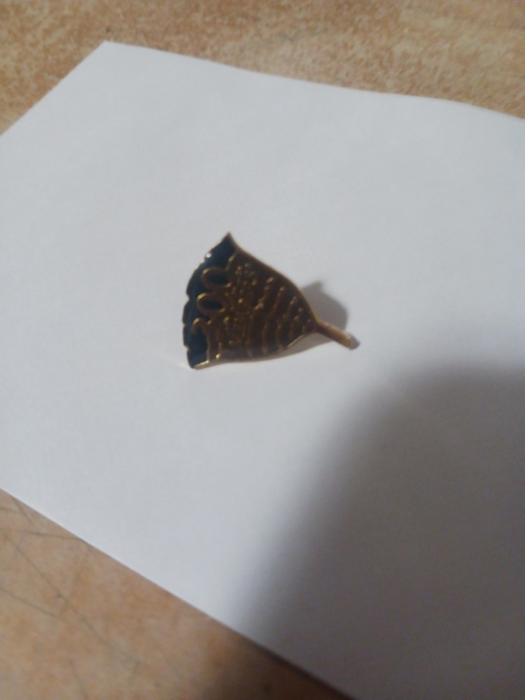 Nwtf 300 Members  Pin