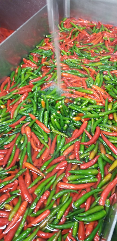 Thai Hot Sauce - Ginger Vegan - 6oz bottle