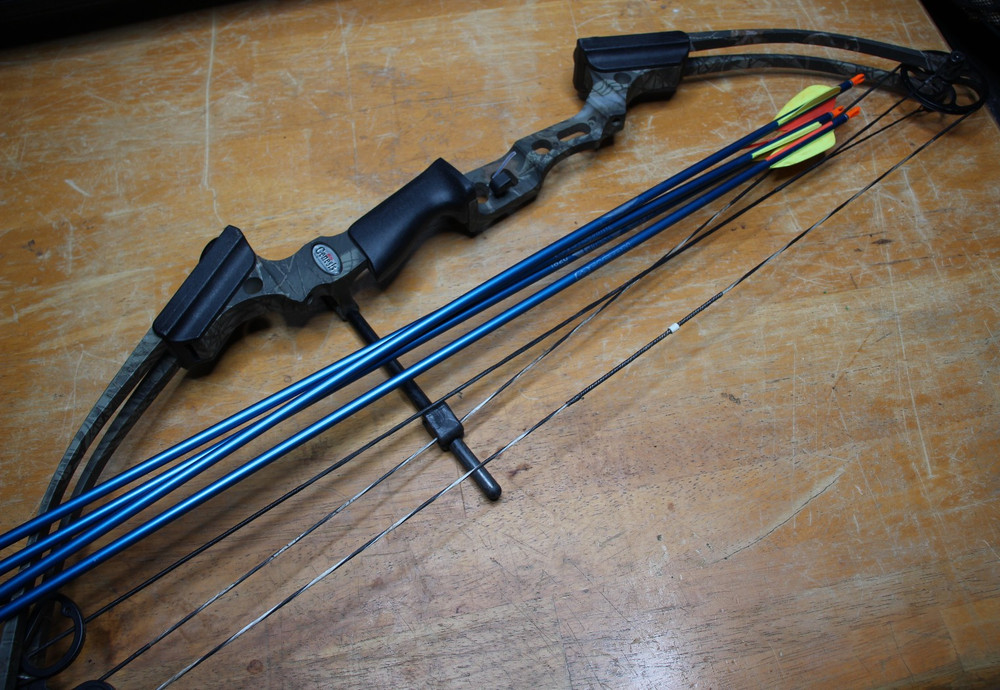 Genesis Mini Compound Bow Arrows Used
