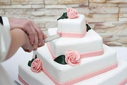 Wedding Anniversary Cake Server Set Cutting Silver engrave yourself Clear Handle