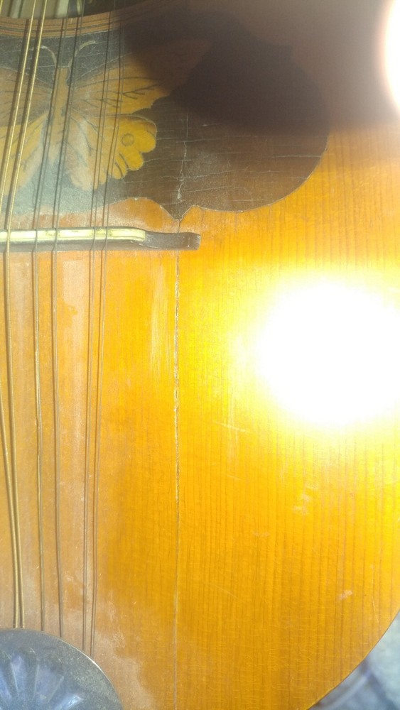 Vintage Gordon Bowl Back Mandolin Needs Some Restoration