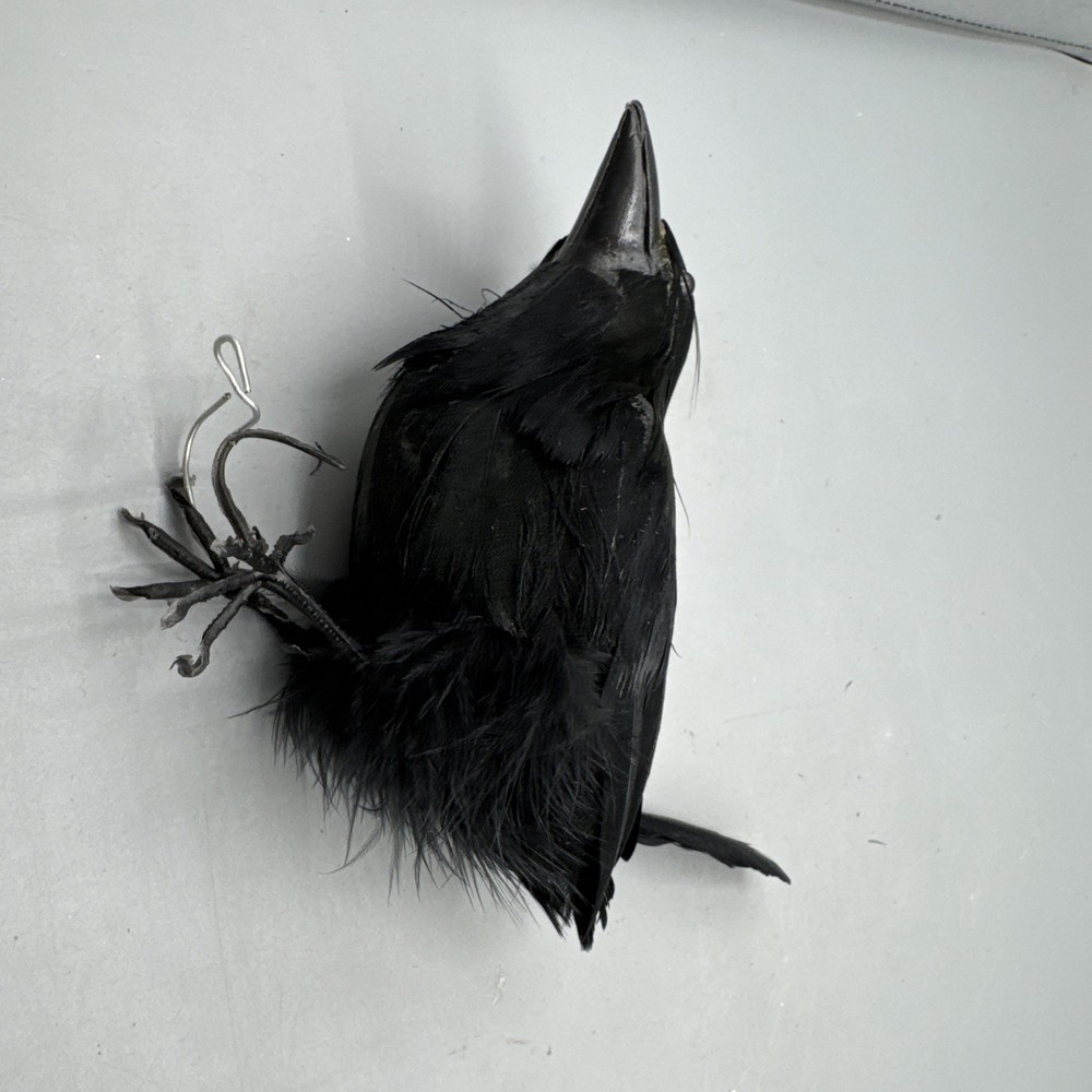 5 PCS Black Feathered Crows Halloween Ravens