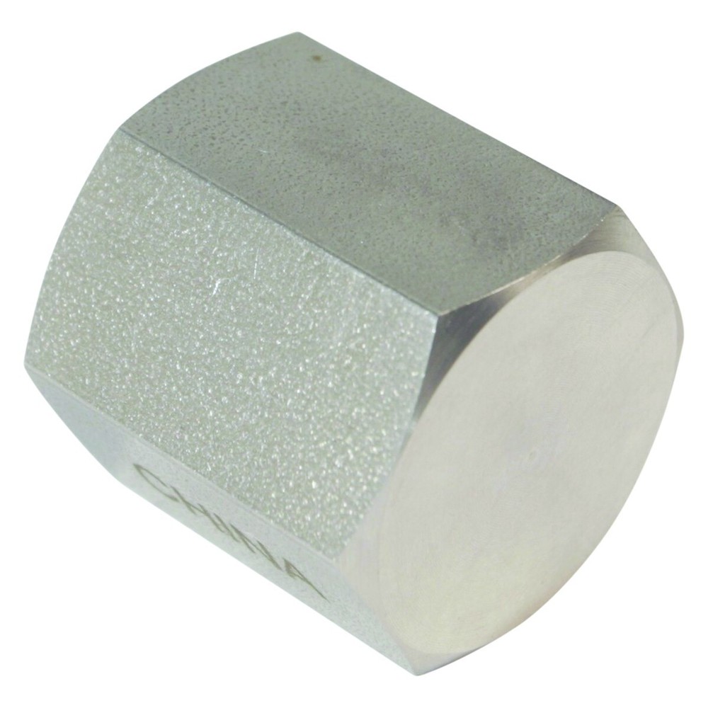 Threaded NPT Cap | FNPT 1/2 inch - SS316 (2 Pack)