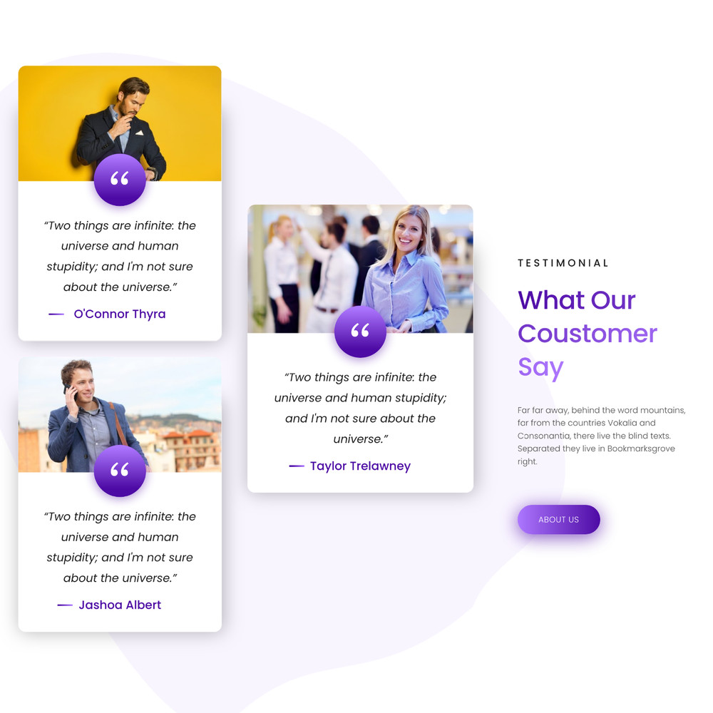 Internet Business Website Design with Free VPS Web Hosting and Installation