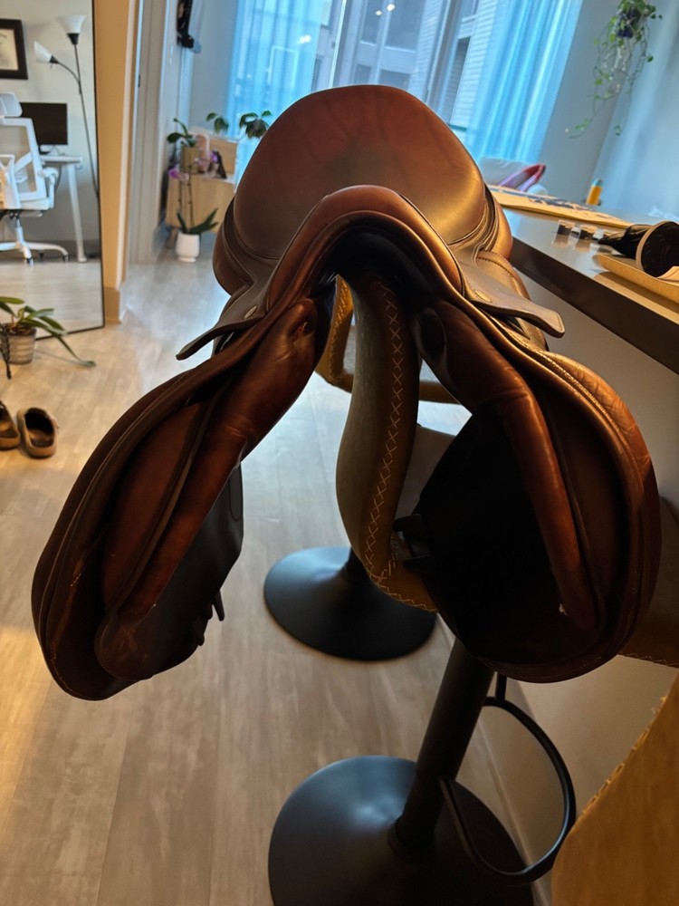 17.5” Arion Saddle