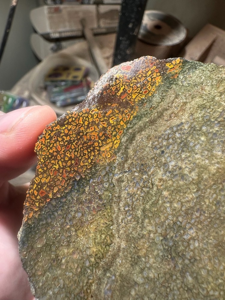 Dinosaur bone rough **hxtled slab.