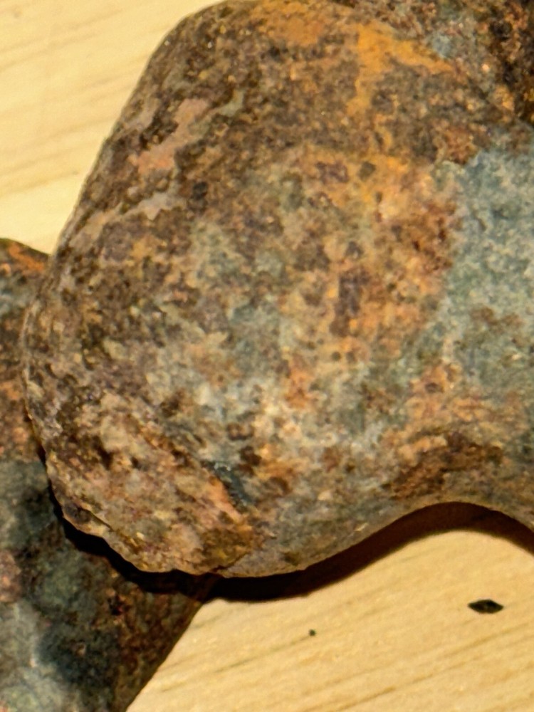 Antique Iron Grape Pattern Shutter Dog, Vineyard or Garden Spike