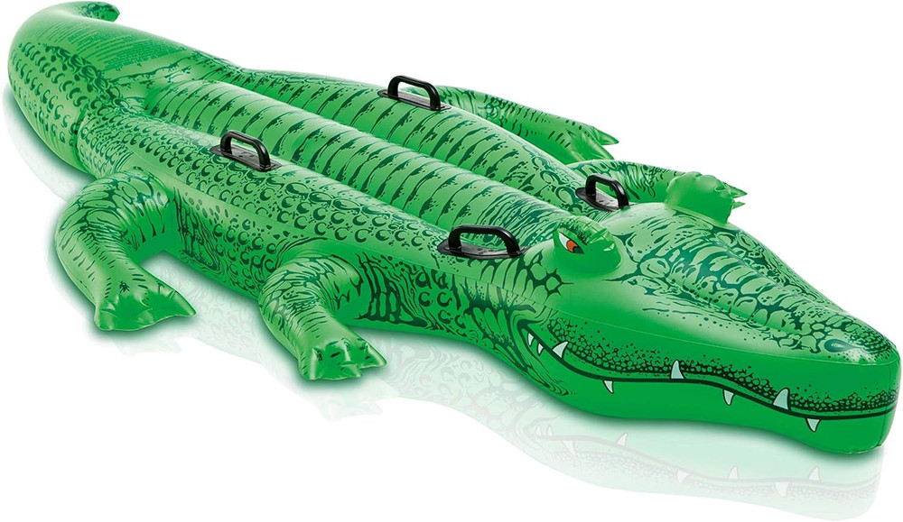 Inflatable Pool Float: Pool Toy for Kids
