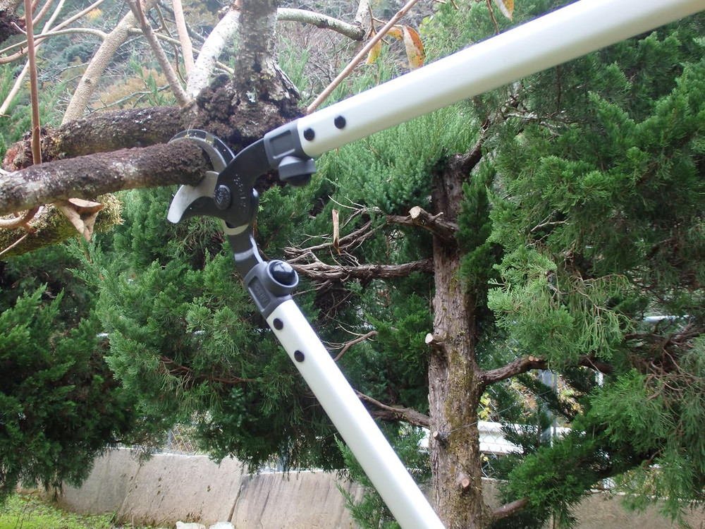 LPB-30L Orchard Lopper