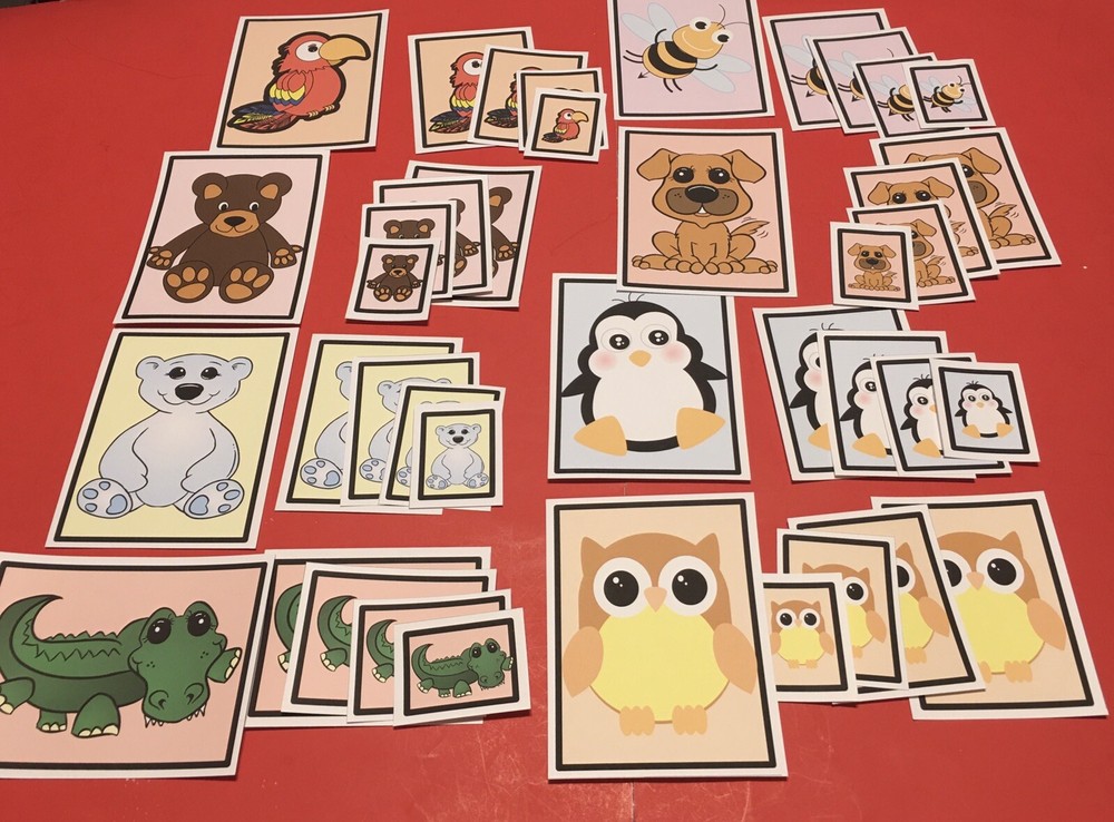 Laminated Sorting Cards - Size Sorting - 40 Cards Set
