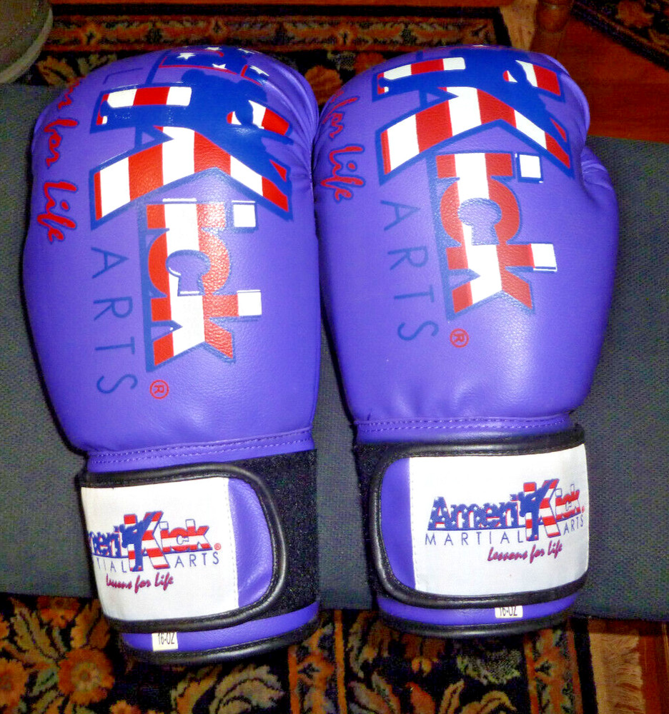 Martial Arts Gloves by Ameri Kick (lessons for Life) (16oz) Purple. Top quality.