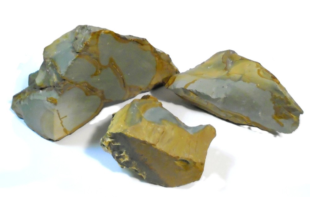 Owyhee Picture Jasper Rough Rock 2.9 #