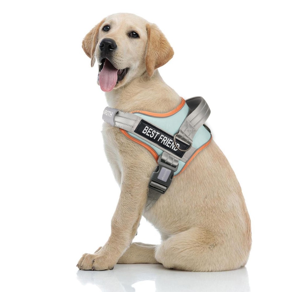 AUROTH Dog Harness No Pull Soft Padded Medium, Single Harness-Macaron Blue