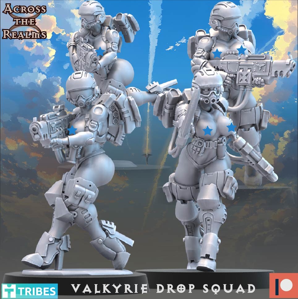 VALKYRIE DROP SQUAD (PIN-UP)