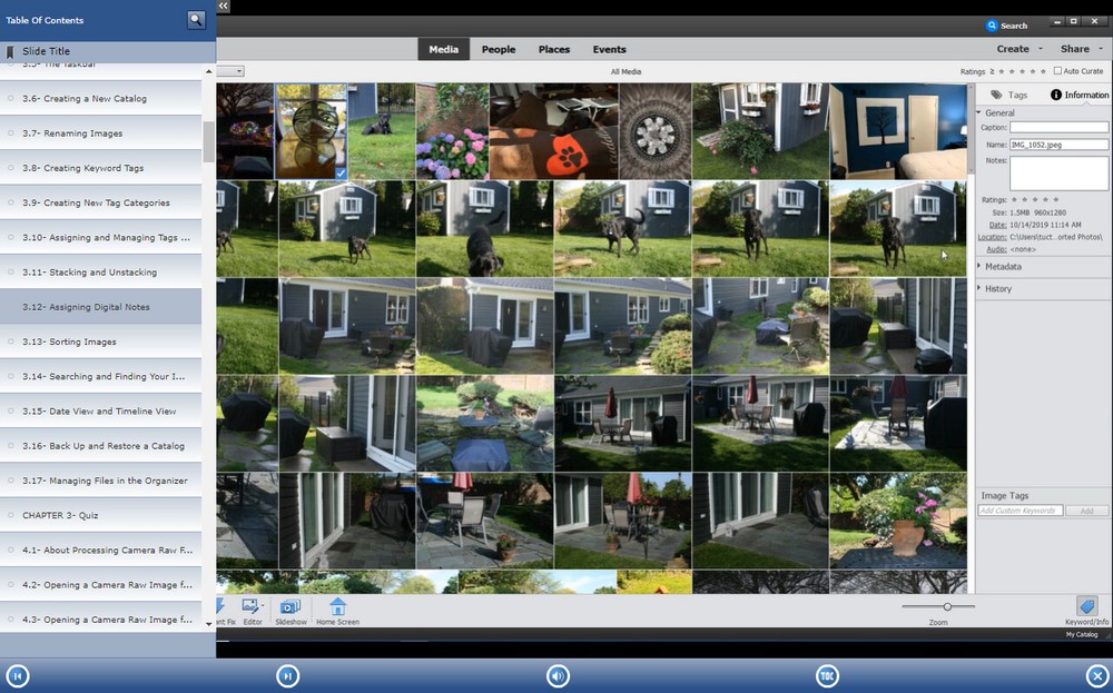 New Learn PHOTOSHOP ELEMENTS 2021 Training Tutorial DVD and Digital Course