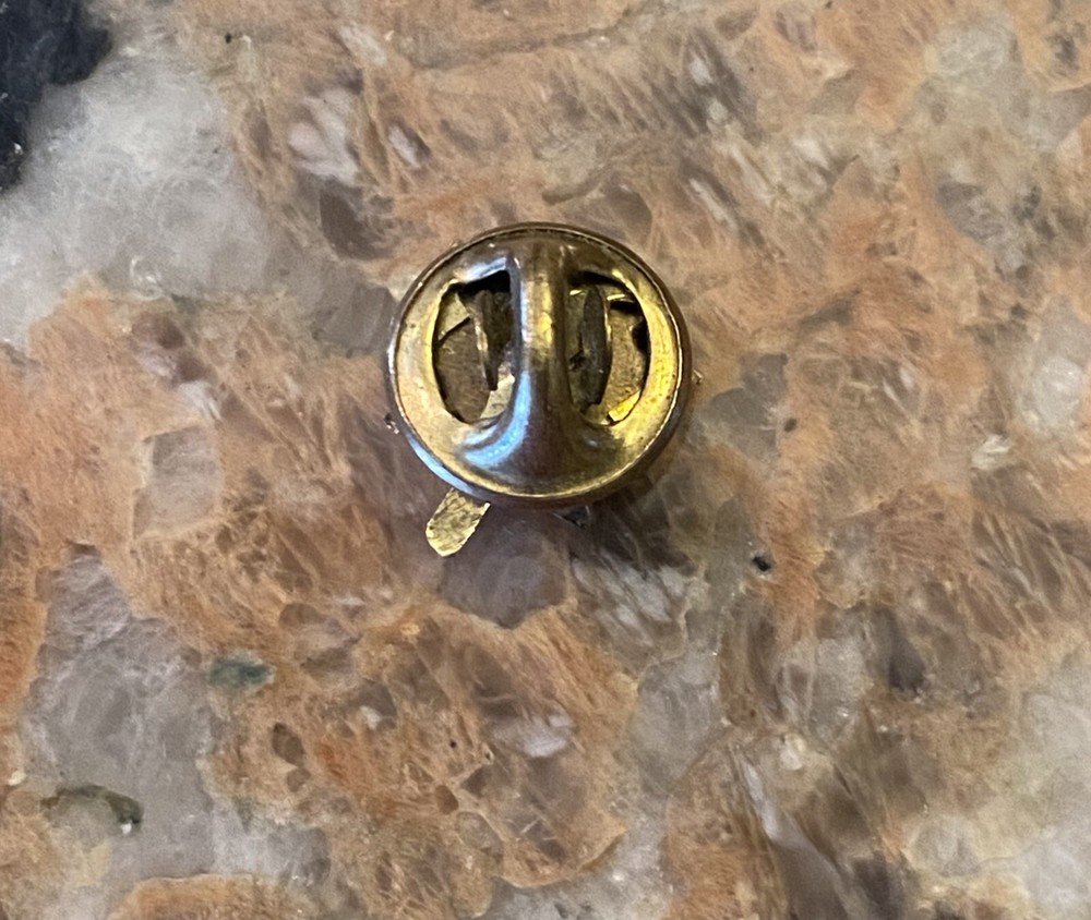 RN lapel pin
