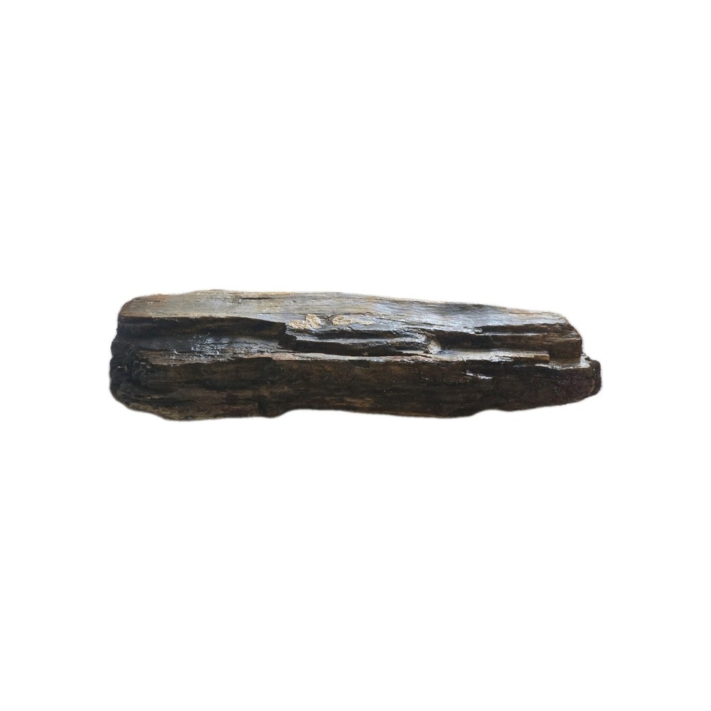 6lb Petrified Wood