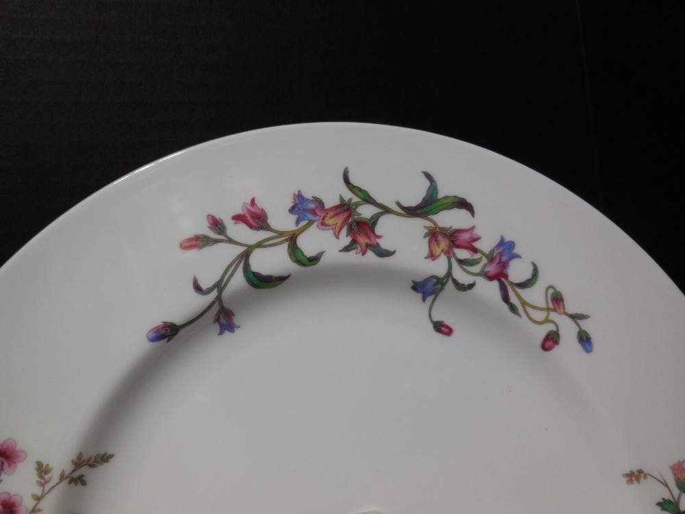 5 Piece Place Setting WEDGWOOD DEVON SPRAYS (B18)