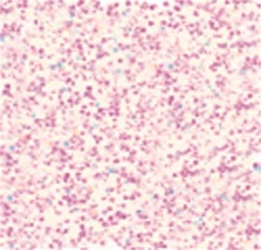 Stickles Glitter Glue .5oz-Crystal - 6 Pack