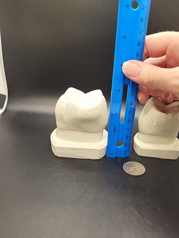 Two Weird Tooth Models 1970's