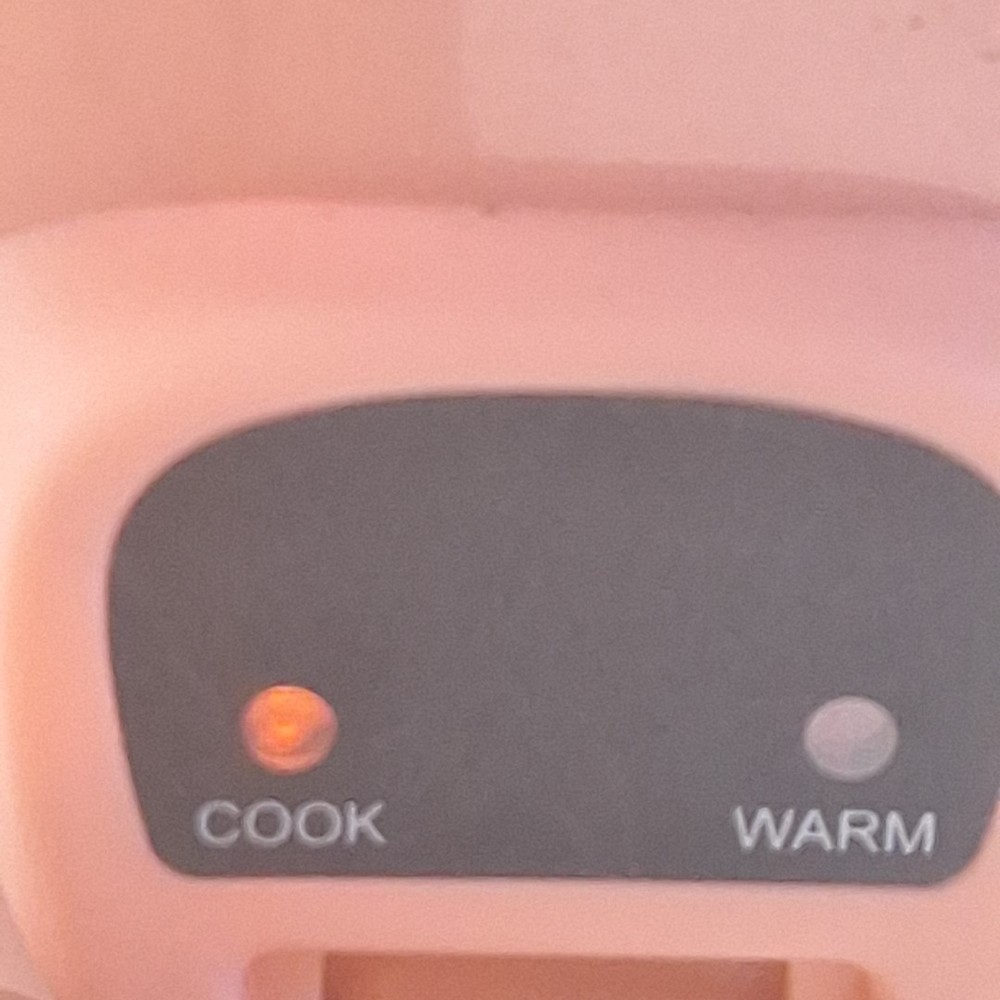 TESTED -DASH Pink Mini Rice Cooker Steamer Removable Nonstick Pot Warm Function