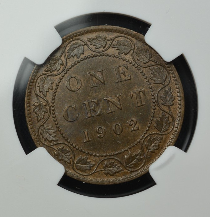 Canada 1902 1 Cent NGC MS63 BN