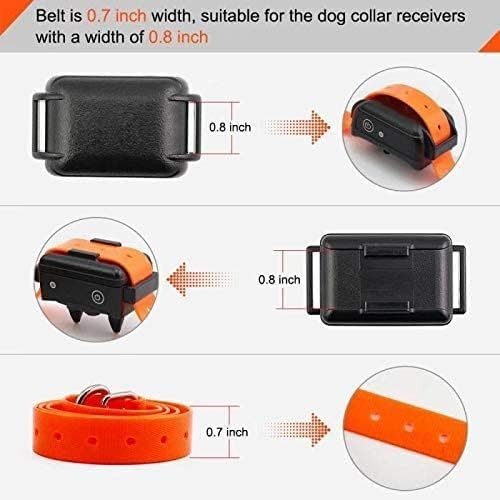 Adjustable 27½” Dog Training Collar Strap - Universal Fit with Reflective Design