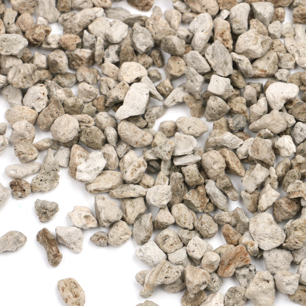 Garden Pumice Soil Amendment Hydroponics Cutting Succulent Cactus Bonsai Tree