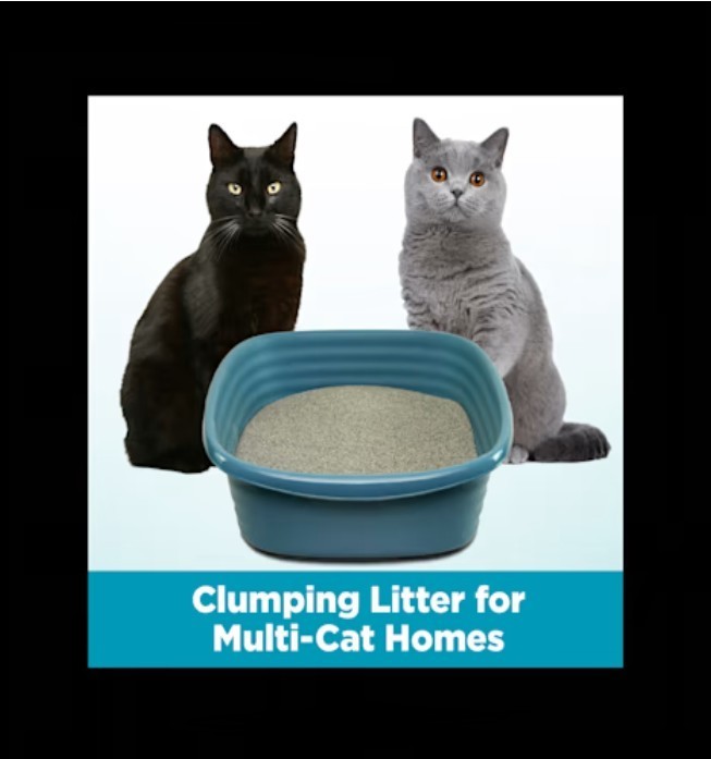 4 Pack Arm & Hammer Clump & Seal Cloud Control Multi-Cat Clumping Litter, 28 lbs