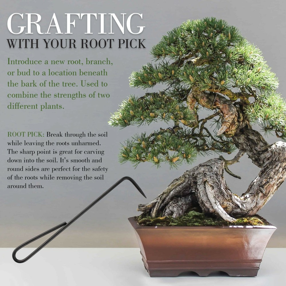 Bonsai Tool Set 5pc Root Rake, Shear, Root Pick, Moss Brush