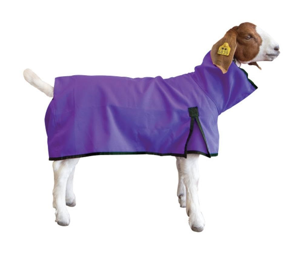 Goat Blanket, Medium, Purple