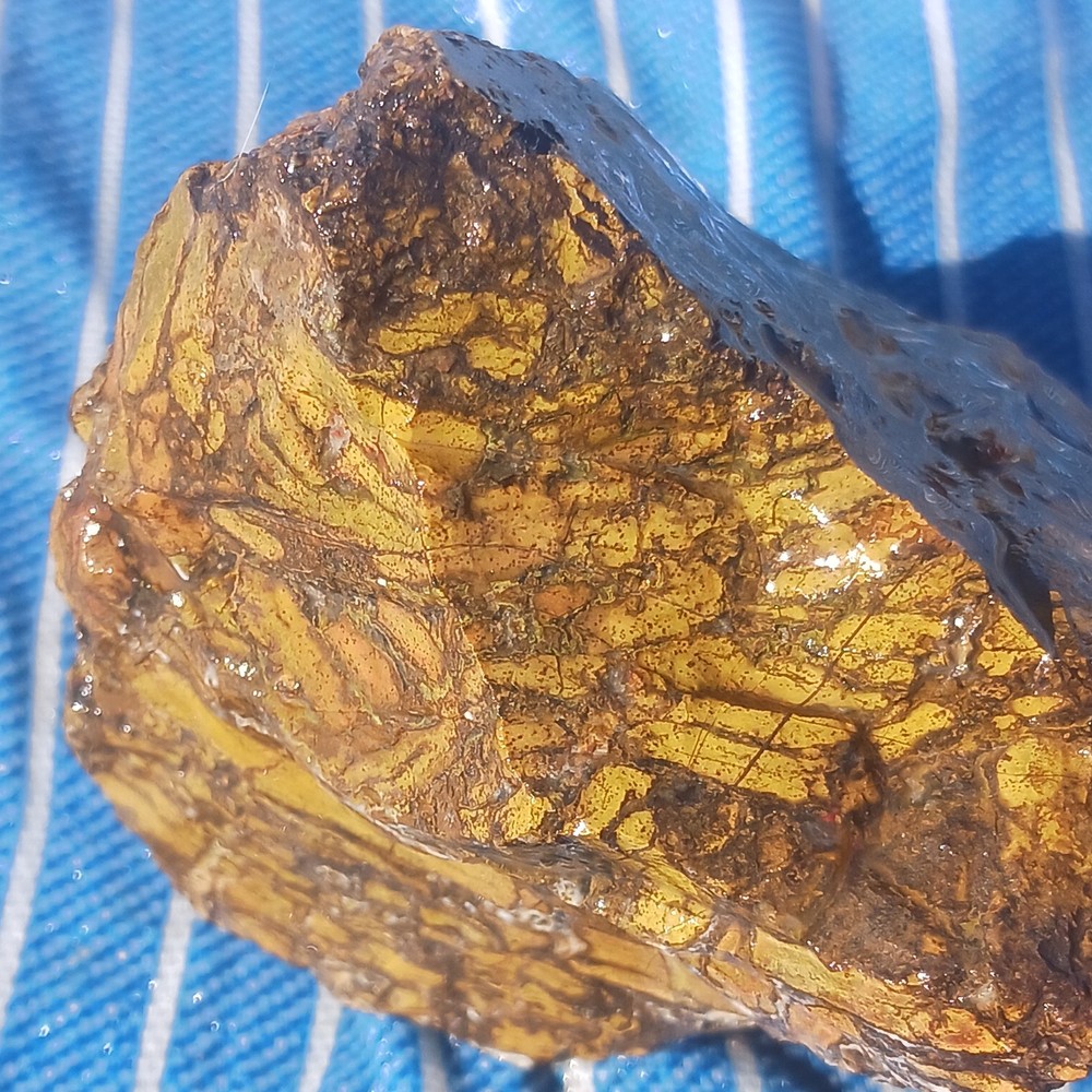 Jasper Rough Specimen Display Lapidary Potential