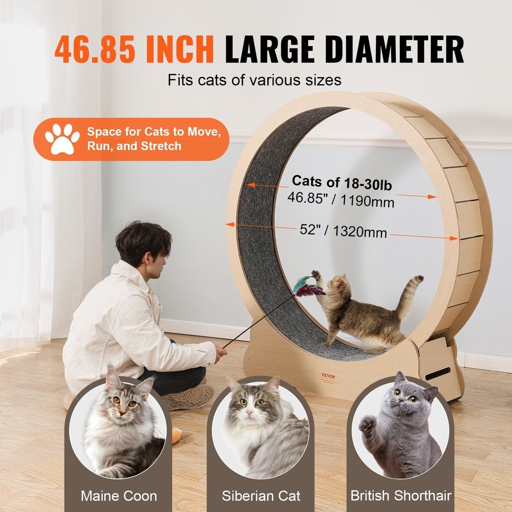 Durable 52in Cat Running Wheel Solid Wood Frame 30lb Max Minimalist Design