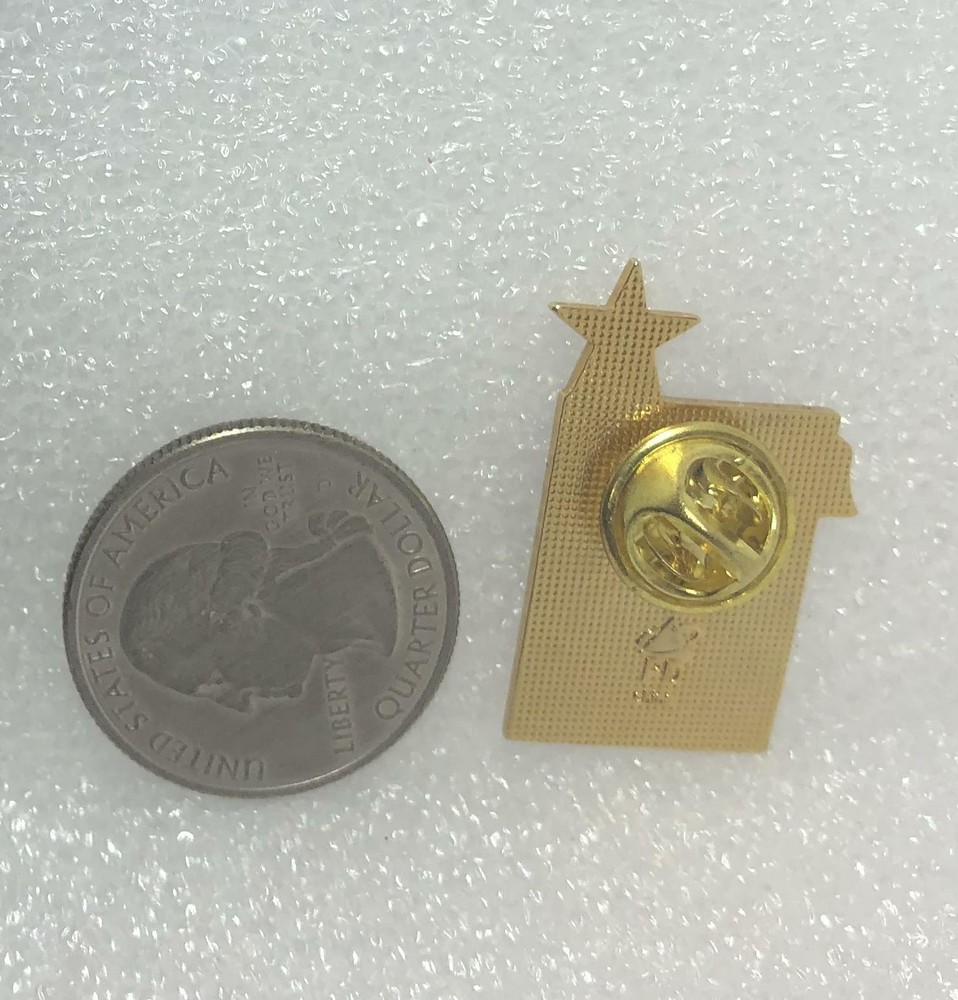Recognized Pin