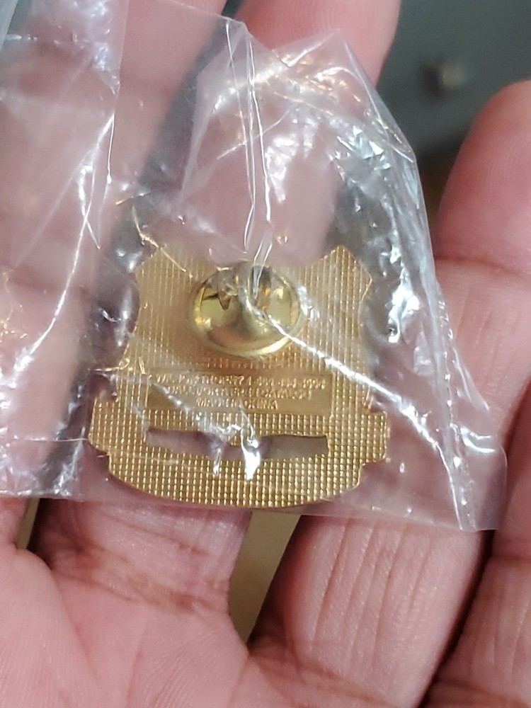 Western States Information Network Pin