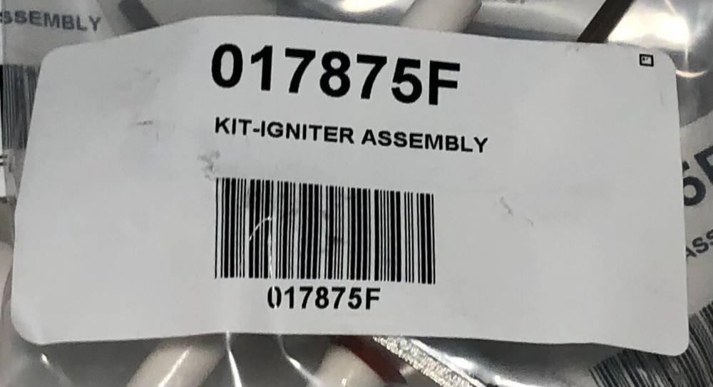 Raypak 017875F KIT IGNITER ASSEMBLY- For Raypak XFIIRE Models.