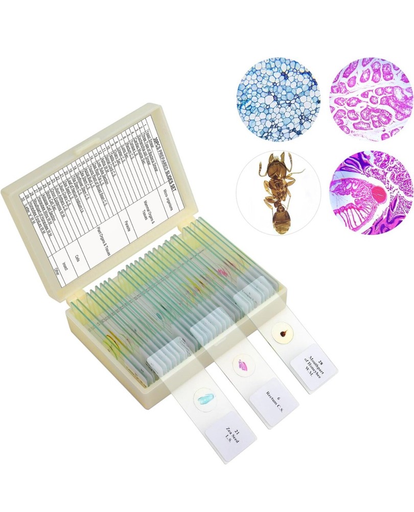 30 Microscope Slides with Specimens for Kids, Prepared Microscope Slides for ...