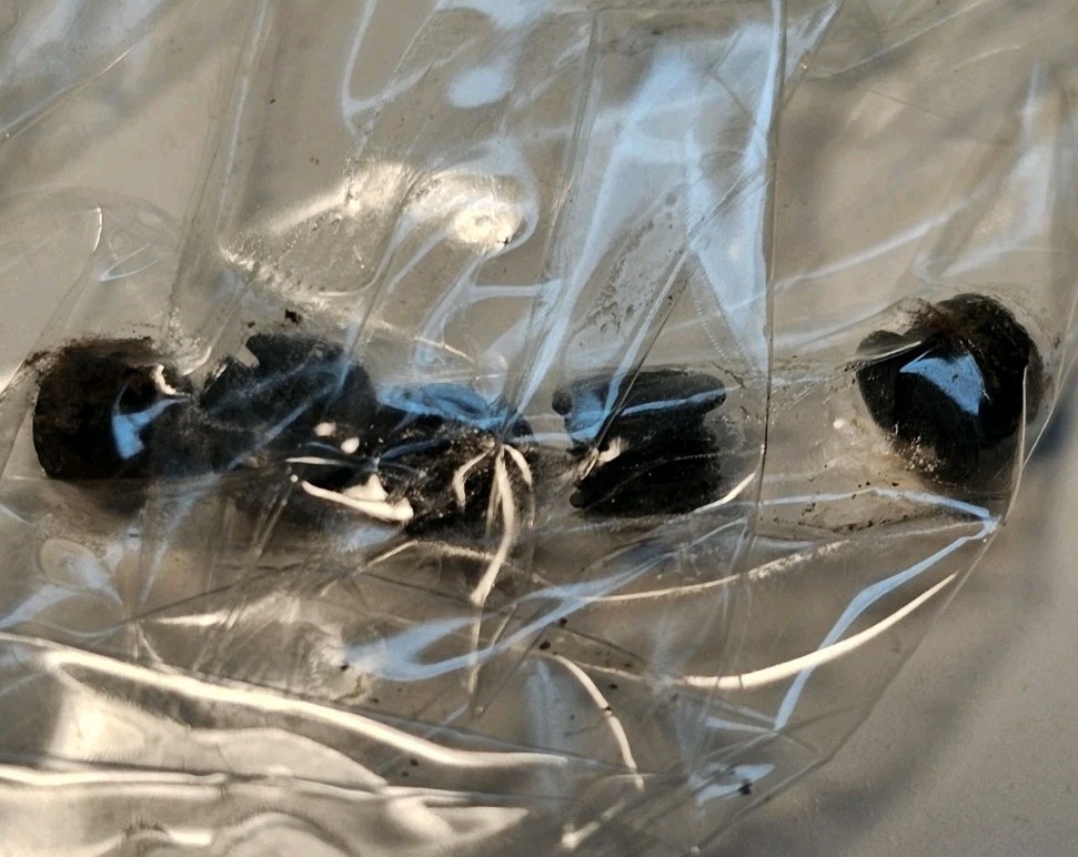 Traditions Timber Ridge Muzzleloader Rifle 5 Fill Screws (C)