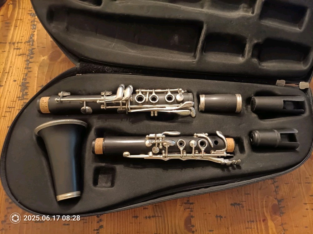 Borg Black Silver Standard Clarinet Set With Case (Untested)
