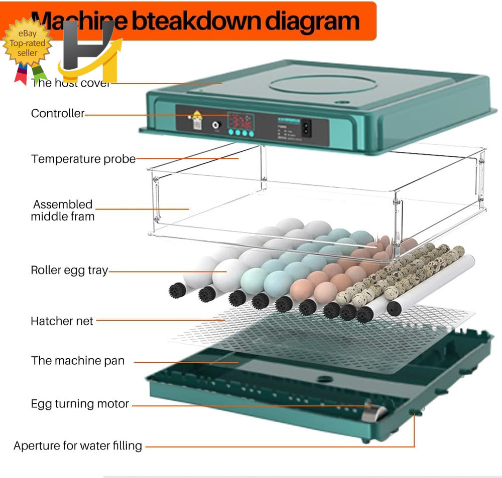 Automatic Egg Incubator 38 Egg Digital Poultry Hatcher Machine Automatic Egg Tur