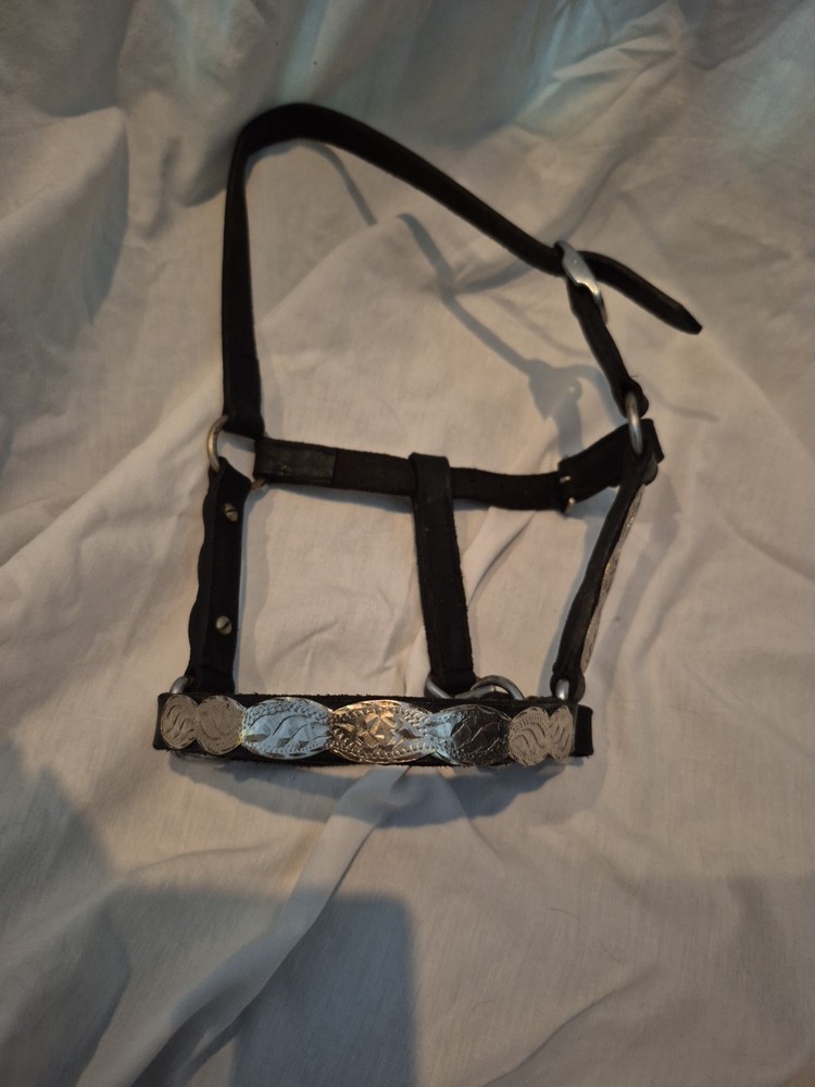 Size A Mini Western Show Halter
