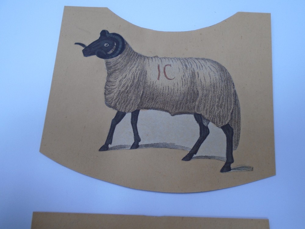 VICTORIAN SCRAP ON CARD   SHEEP   X2