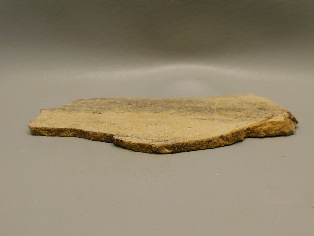 Coquina Jasper Lapidary Rough Rock Script Stone Slab Cabbing #O1