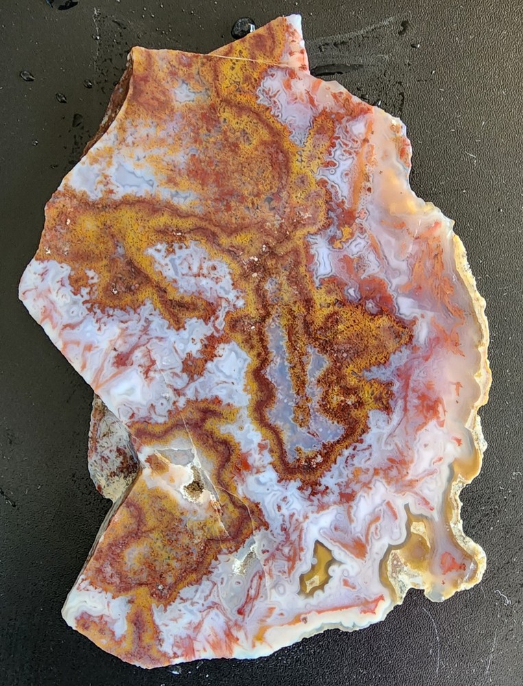 Moss agate Maury Mountain