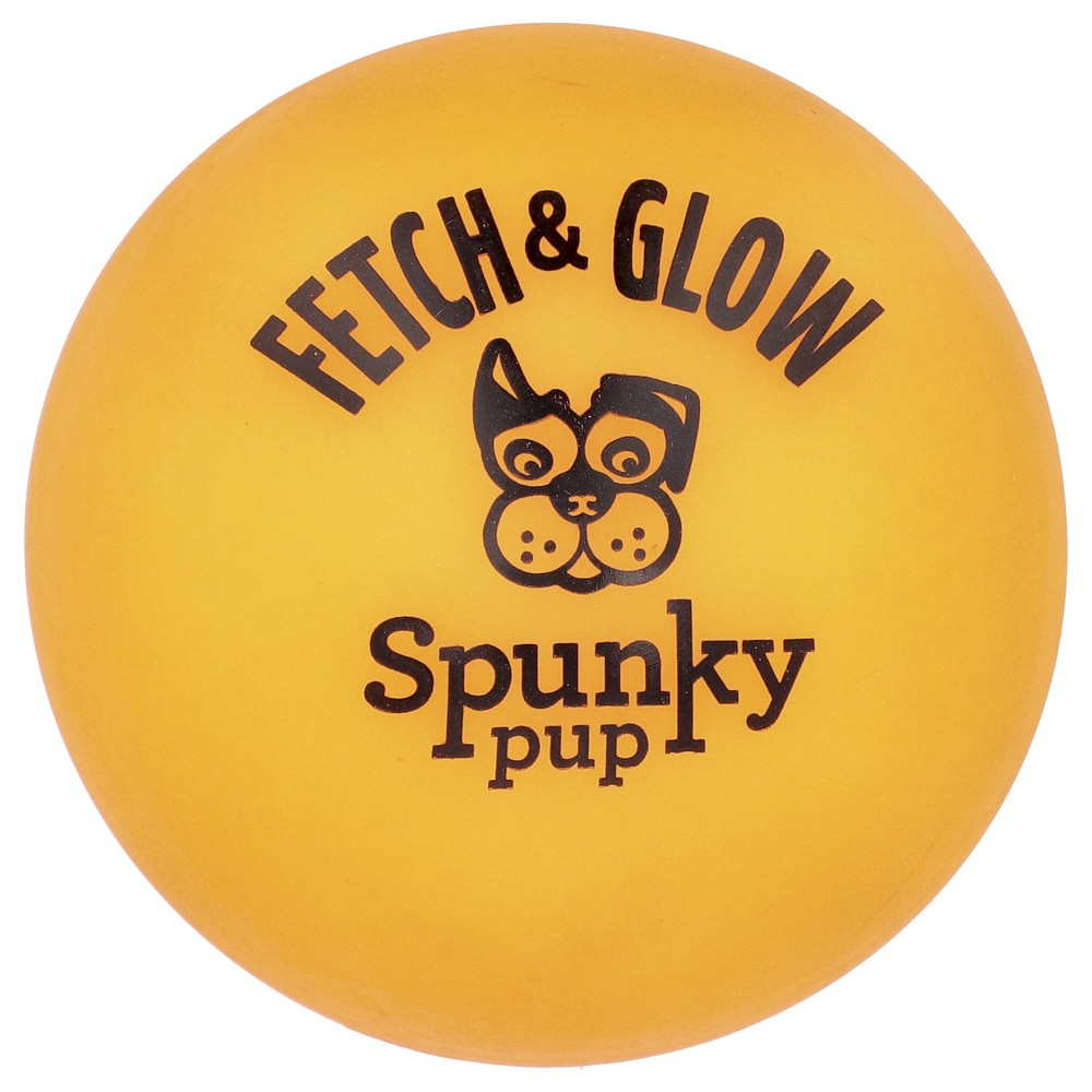 Fetch & Glow, Ball, Large, 1 Toy