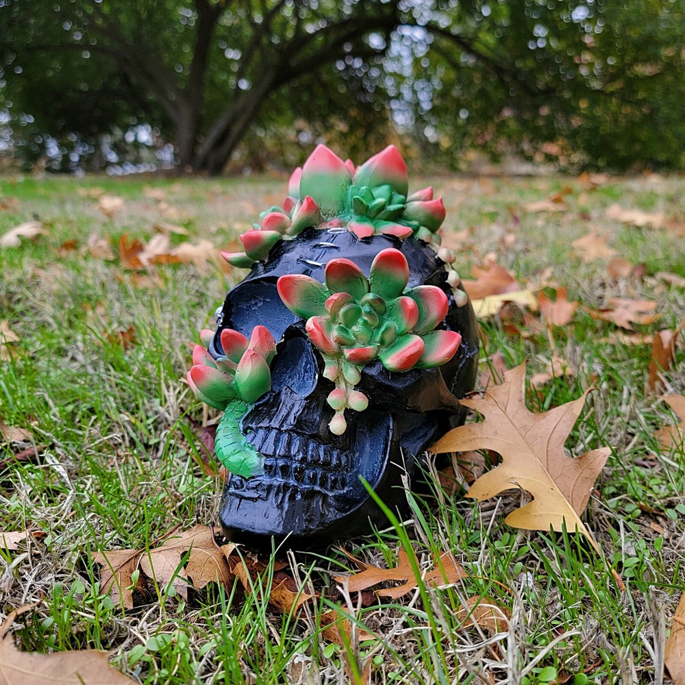 Succulent Infested Black Skull, Goblincore, Oddities Decor